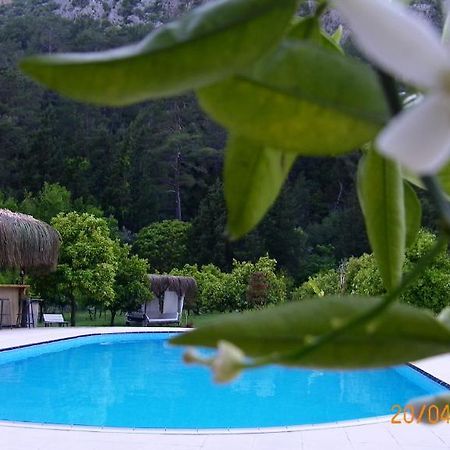 Portalimo Lodge Hotel - Adult Only +12 Çıralı Εξωτερικό φωτογραφία