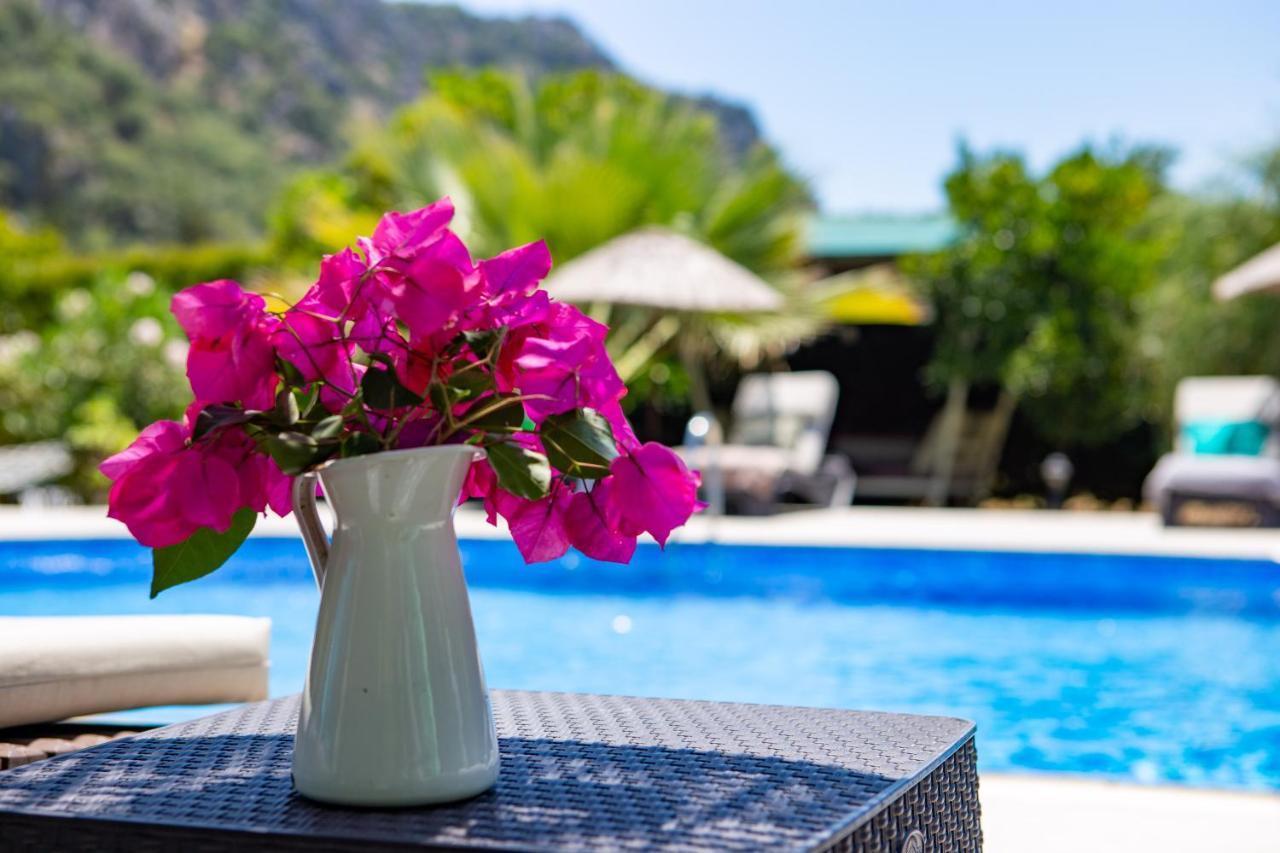 Portalimo Lodge Hotel - Adult Only +12 Çıralı Εξωτερικό φωτογραφία