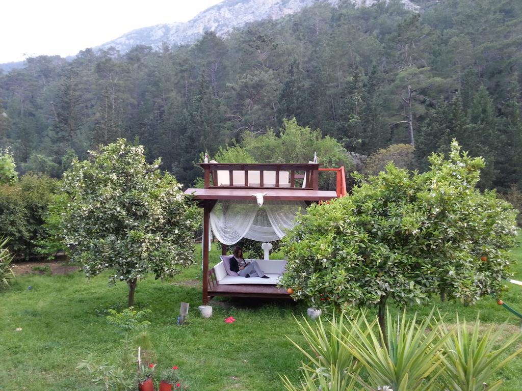 Portalimo Lodge Hotel - Adult Only +12 Çıralı Εξωτερικό φωτογραφία