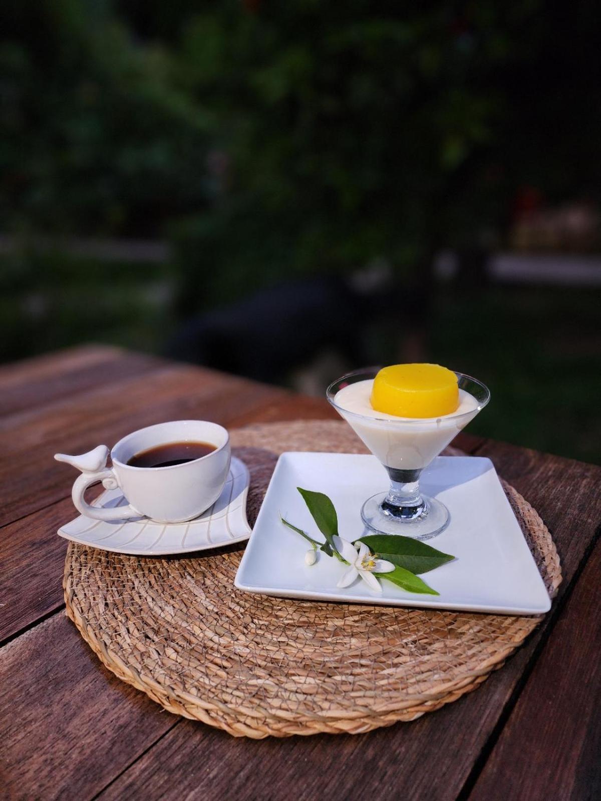 Portalimo Lodge Hotel - Adult Only +12 Çıralı Εξωτερικό φωτογραφία