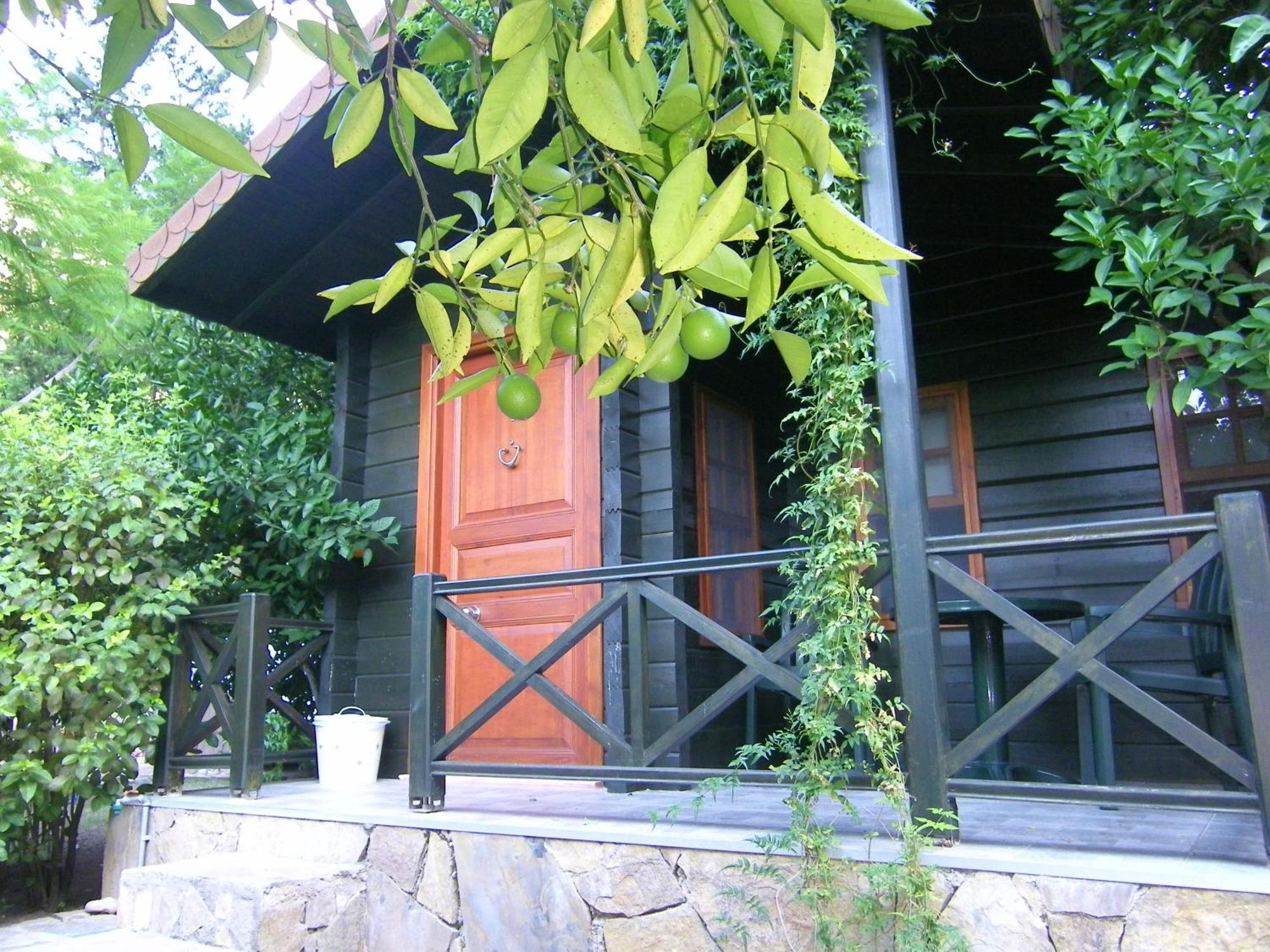 Portalimo Lodge Hotel - Adult Only +12 Çıralı Εξωτερικό φωτογραφία