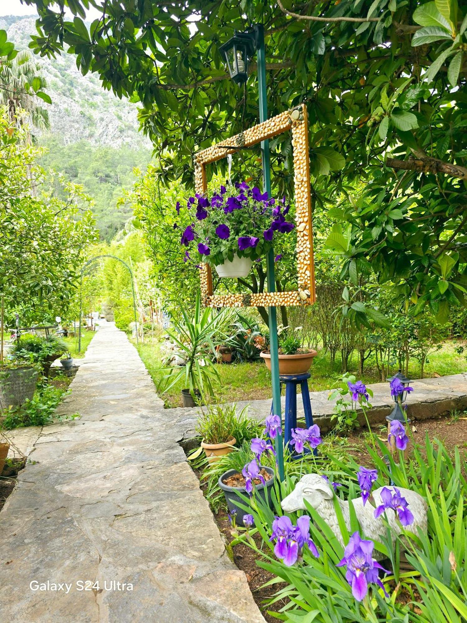 Portalimo Lodge Hotel - Adult Only +12 Çıralı Εξωτερικό φωτογραφία