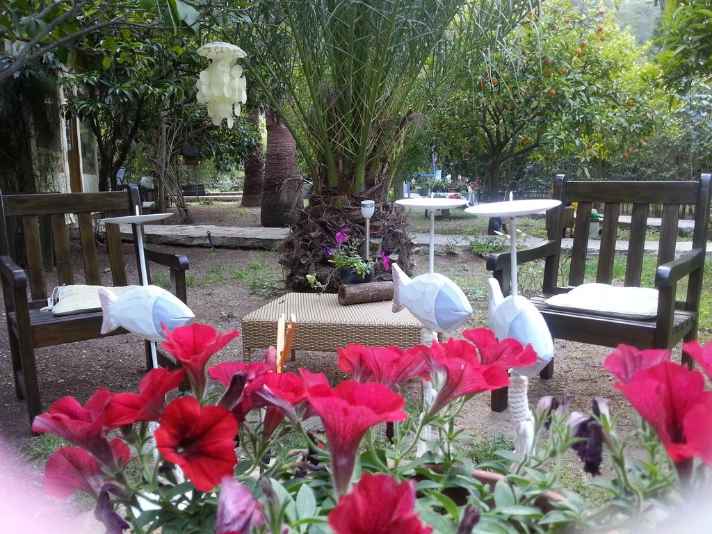 Portalimo Lodge Hotel - Adult Only +12 Çıralı Εξωτερικό φωτογραφία