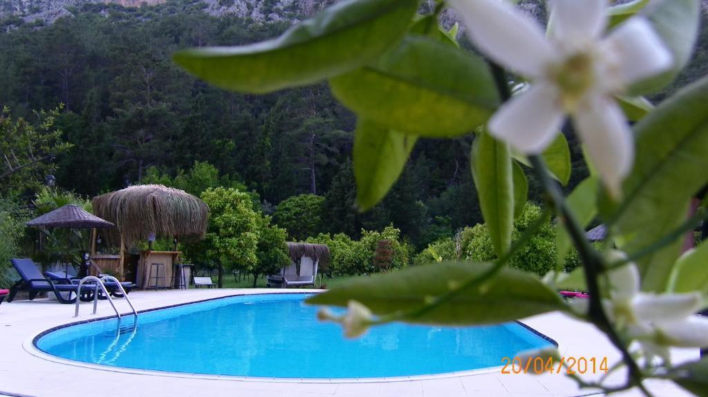 Portalimo Lodge Hotel - Adult Only +12 Çıralı Εξωτερικό φωτογραφία