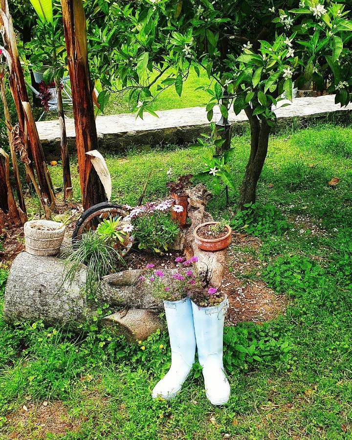 Portalimo Lodge Hotel - Adult Only +12 Çıralı Εξωτερικό φωτογραφία